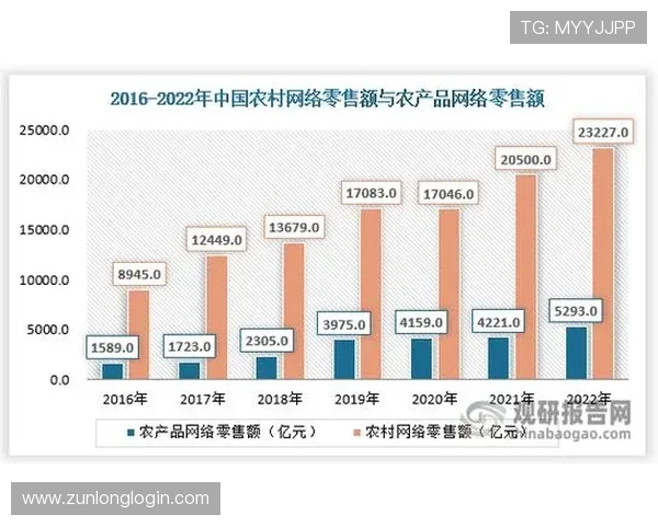 探索凯时k66的品牌魅力与市场前景全面分析