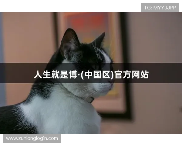 凯时人生就是博怎么样总结游戏最新版本更新内容与未来发展方向