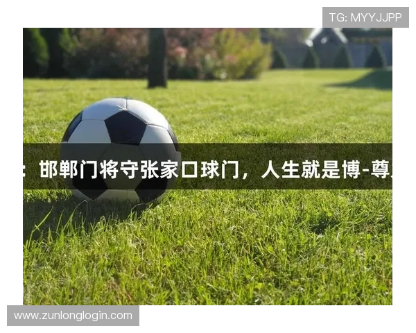 尊龙体育游戏的隐私保护政策,保障用户个人信息安全的详细措施 尊龙体育游戏的隐私保护政策,保障用户个人信息安全的详细措施