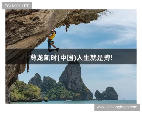 尊龙凯时体育域名购买技巧与注意事项，确保您的账号安全与顺畅体验